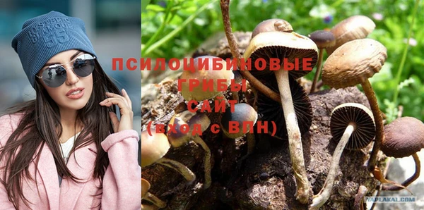 МДПВ Алзамай