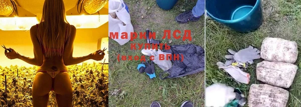 прущие грибы Алексеевка