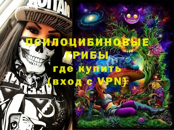 МДПВ Алзамай