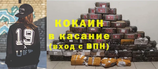 прущие грибы Алексеевка