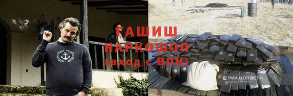 прущие грибы Алексеевка