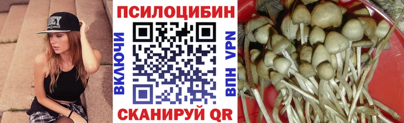 darknet официальный сайт  Агрыз  Галлюциногенные грибы GOLDEN TEACHER  МЕГА ССЫЛКА 